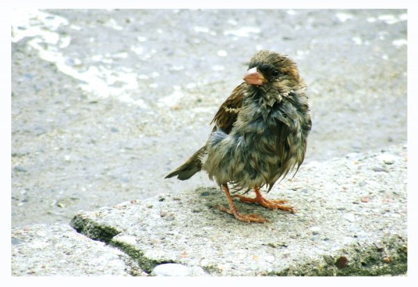 Фотовиставка Оксани Кузьменко